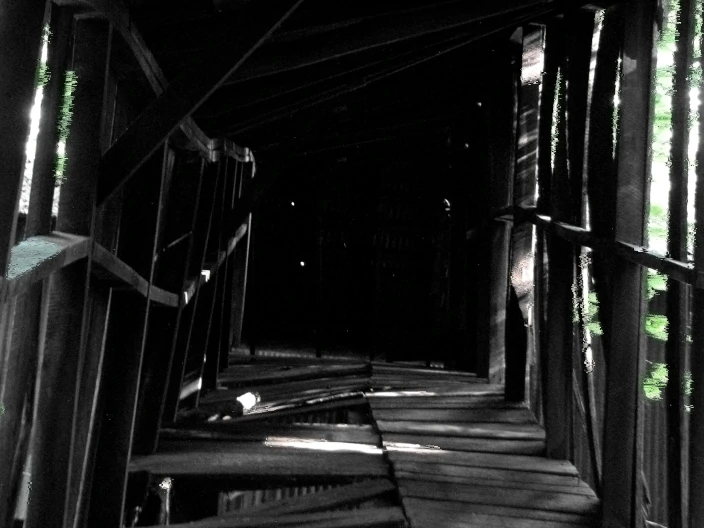 corrupted wood tunnel