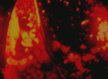 red and orange pulsations